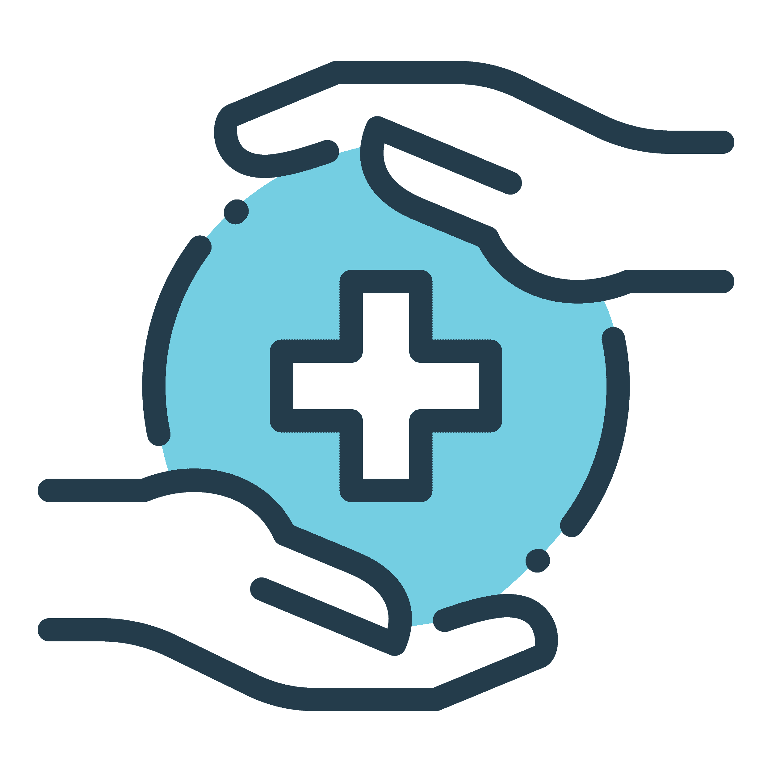 Health icon